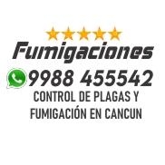 Fumigaciones cancun express en Cancún (Centro) - Horario de apertura