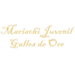 MARIACHI JUVENIL GALLOS DE ORO en Tepotzotlán (Santiago El Alto) - Horario de apertura