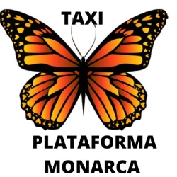 Horario de apertura TAXI PLATAFORMA MONARCA, Puebla