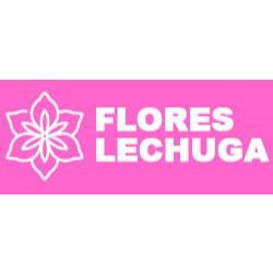 Flores Lechuga en General Escobedo (Paseo Real) - Horario de apertura