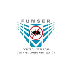 Fumser en Xalapa Enríquez (El Olmo) - Horario de apertura