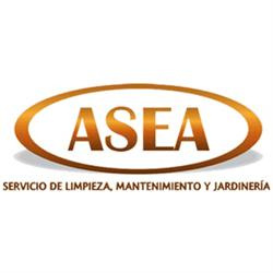 ASEA Servicios de limpieza, mantenimiento y jardineria en Toluca de Lerdo (San Lorenzo Tepaltitlan) - Horario de apertura