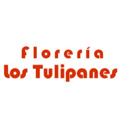 Florería Los Tulipanes en Guadalupe (El Salero) - Horario de apertura