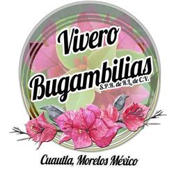 Vivero Bugambilias en Peña Flores (Calderon) - Horario de apertura