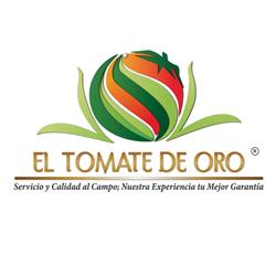 El Tomate de Oro en San Salvador Huixcolotla (San Salvador Huixcolotla) - Horario de apertura