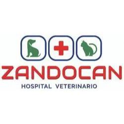 Zandocan Hospital Veterinario en Tepic (Centro) - Horario de apertura