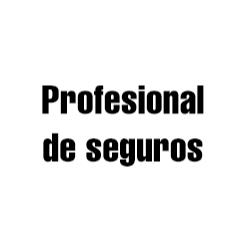 Profesional De Seguros en Xalapa Enríquez (Badillo) - Horario de apertura