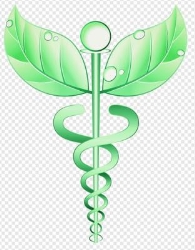 Horario de apertura Salud naturalmente asesoría, Cuernavaca
