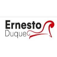 Psicoanalista Ernesto Duque en Saltillo (Parques De La Cañada) - Horario de apertura