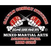 Academia de Artes Marciales Lion Gurú en Ciudad de México (San Bernabé) - Horario de apertura