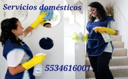 Empleadas domésticas 5534616001 en Tlalnepantla de Baz (Estado De México) - Horario de apertura