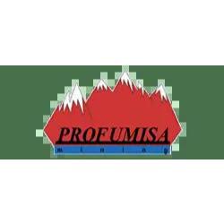 Profumisa Mining en Hermosillo (San Benito) - Horario de apertura
