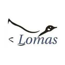 Volkswagen Lomas en San Luis Potosí (Lomas Del Tecnológico) - Horario de apertura