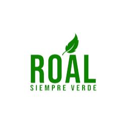 Roal Siempre Verde en Valle de Aranzazu (Coecillo) - Horario de apertura