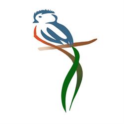 Viajes Quetzal en Ciudad de México (San Andrés Tetepilco) - Horario de apertura