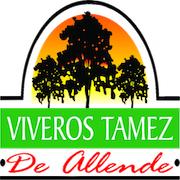 Viveros Tamez De Allende en Monterrey (El Uro) - Horario de apertura