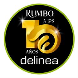 Horario de apertura Delinea diseño, Metepec