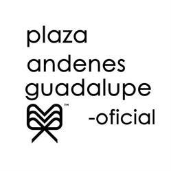 Horario de apertura Plaza Andenes Guadalupe oficial, 