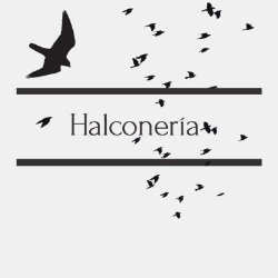 Horario de apertura Servicios de halconeria, Celaya