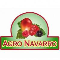 Horario de apertura Grupo Agro Navarro, Jacona de Plancarte