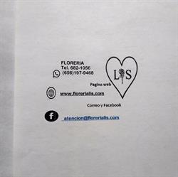 Florería Lis en Ciudad Juárez (Zaragoza) - Horario de apertura