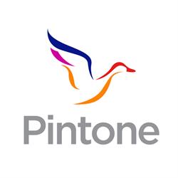 Horario de apertura Pintone Innovación, Grupo Pintone, San Luis Potosí