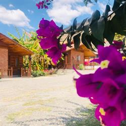 Hotel Campestre Don Luis en Huajuapan de León (Col Del Maestro) - Horario de apertura
