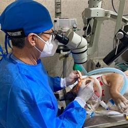 Horario de apertura Clinica Veterinaria Piedras Negras, 
