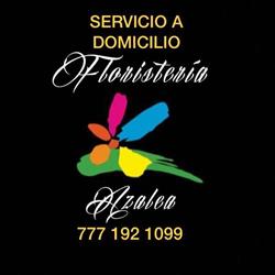 Horario de apertura Florería Azalea Cuernavaca, Atlacomulco