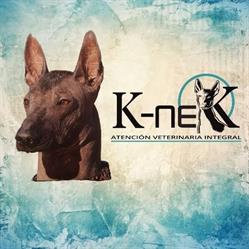 Horario de apertura Atención Veterinaria Integral, Ciudad de México