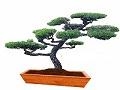 Jardineria Riego automatico en Benito Juárez (Jardines De La Silla) - Horario de apertura
