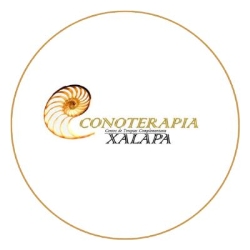 Horario de apertura Conoterapia Xalapa, Xalapa Enríquez