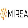 Mirsa Mantenimiento, Instalaciones Y Redes en Querétaro (Paseos Del Pedregal) - Horario de apertura