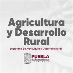 Horario de apertura Secretaría de Desarrollo Rural Puebla, 