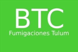 Birtac Control de Plagas en Tulum en Tulum Centro (Maya Pax) - Horario de apertura