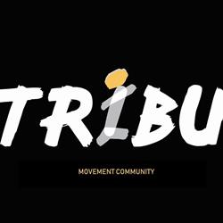 TRIBU Movement Community - cdmx en Ciudad de México (Roma Sur) - Horario de apertura