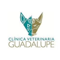 Clinica Veterinaria Guadalupe en Zapopan (Guadalupe Jardín) - Horario de apertura