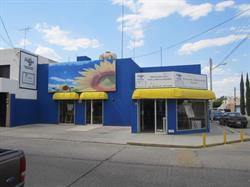 Horario de apertura Casa Regina la Esquina Del Arte, San Luis Potosí