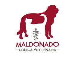 Clínica Veterinaria Maldonado en Piedras Negras (Piedras Negras Centro) - Horario de apertura