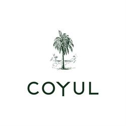 Horario de apertura Coyul, Cihuatlán
