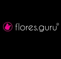 Flores Guru en Ciudad de México (Del Valle) - Horario de apertura