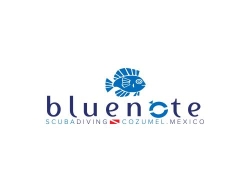 Blue Note Scuba en Cozumel (Cozumel Centro) - Horario de apertura