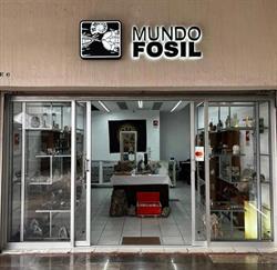 Horario de apertura Mundo Fosil, Guadalajara