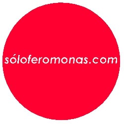 Perfumes y Fragancias Sóloferomonas.com en Morelia (Morelia) - Horario de apertura