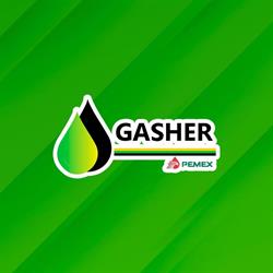 Gasher en Matamoros (Euzkadi) - Horario de apertura