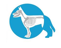 León Clínica Veterinaria en Rosarito (Rosarito Centro) - Horario de apertura