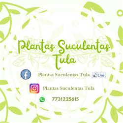 Plantas Suculentas Tula en Tula de Allende (Centro) - Horario de apertura