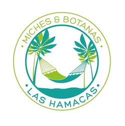 Horario de apertura Miches Las Hamacas, San Luis Potosí