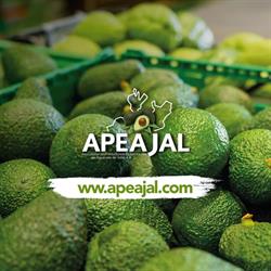 Horario de apertura APEAJAL, Ciudad Guzmán