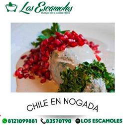 Los Escamoles en Monterrey (Del Paseo Residencial) - Horario de apertura